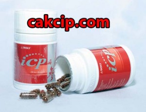 JUAL TASLY ICP DANSHEN PLUS BALIKPAPAN MURAH