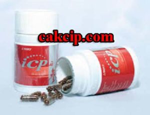 JUAL TASLY ICP DANSHEN PLUS PANGKAL PINANG-LUBUKLINGGAU MURAH