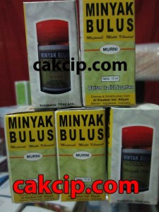 MINYAK BULUS MURNI TARAKAN MURAH