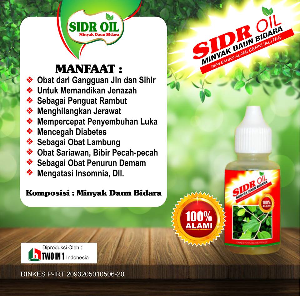 Distributor Minyak Daun Bidara Asli Murah Surabaya Sidoarjo