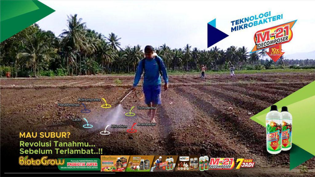 Revolusi tanah dengan M21 DeComposer Pupuk Biotogrow Murah